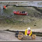 mariscadoras de galicia