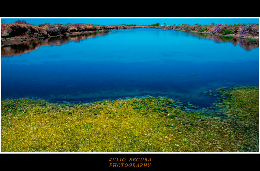 Marismas Azules