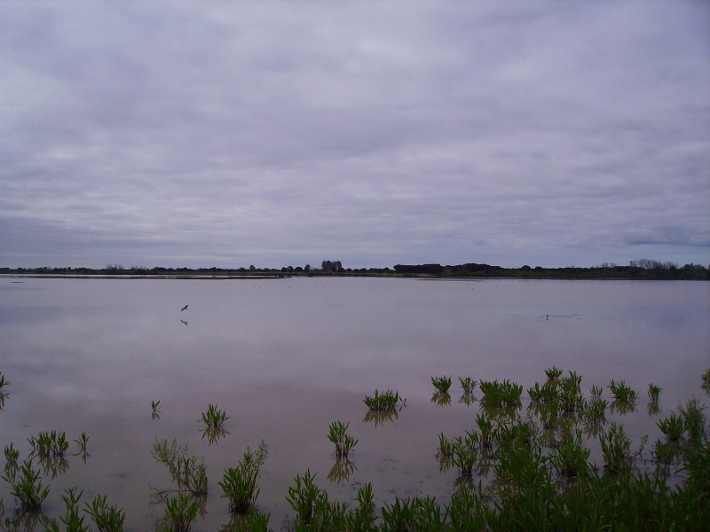 marismas de Doñana