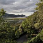 Marismas de Urdaibai