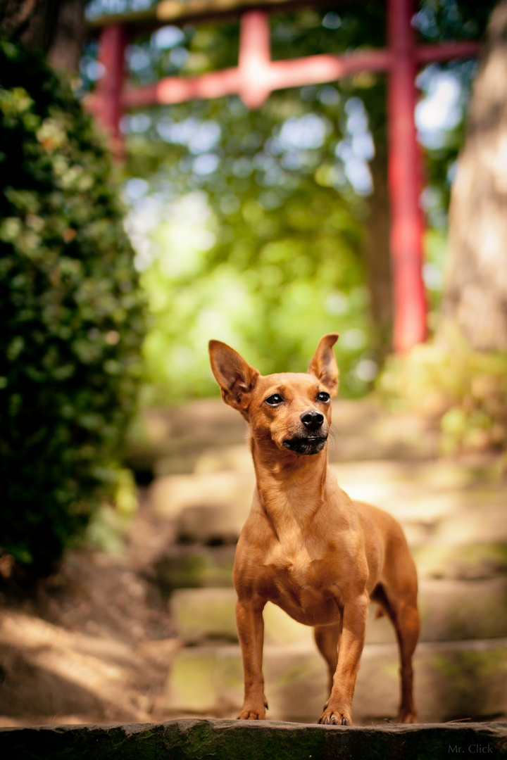 Marita in the Park