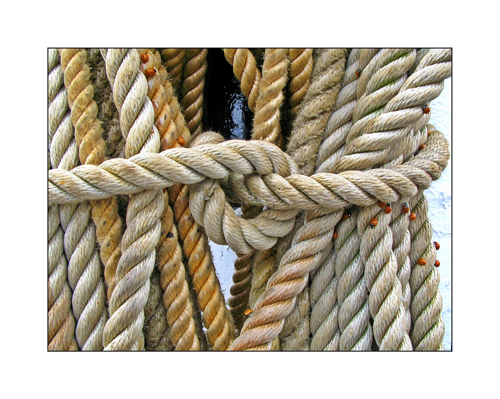 maritime Bindung IV Foto & Bild stillleben, zufällige arrangements