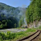 Mariuta unterwegs im Wassertal