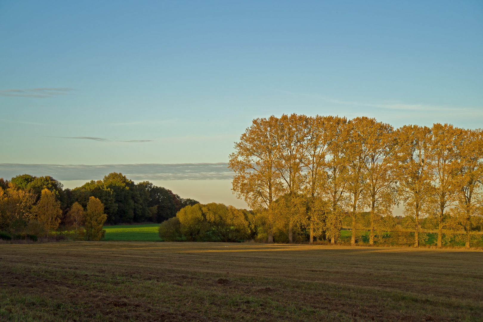 Mark Brandenburg, im Oktober