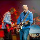 Mark Knopfler -