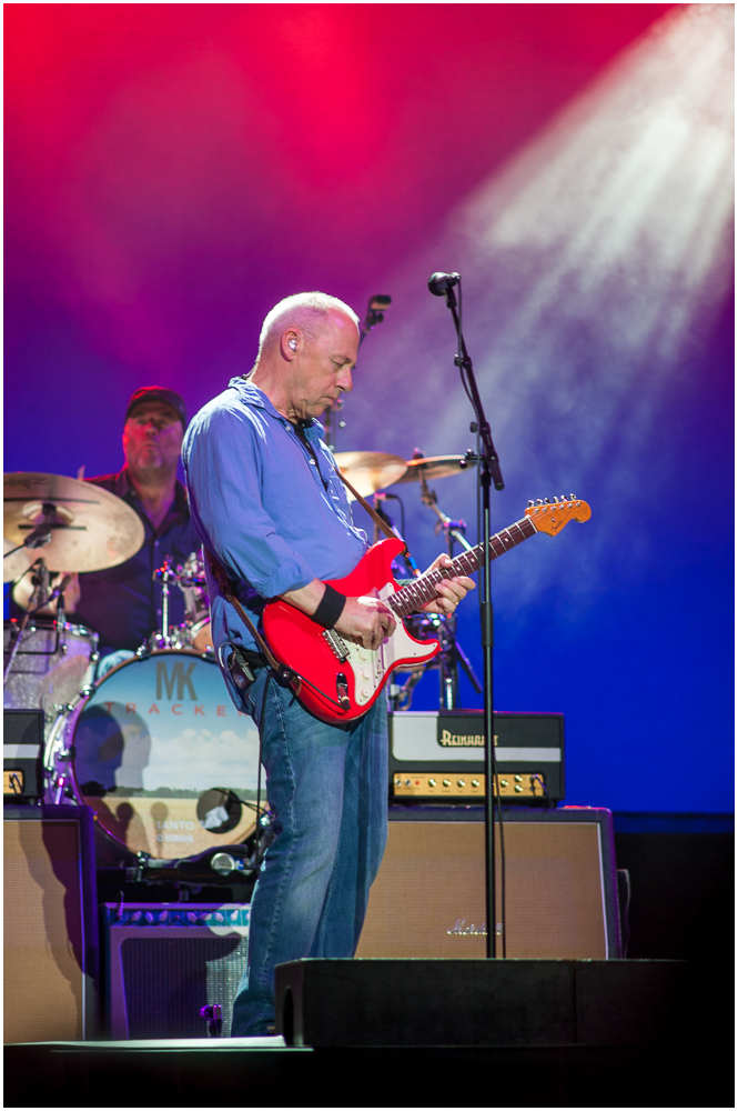 Mark Knopfler `