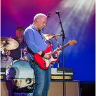 Mark Knopfler `