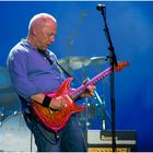 Mark Knopfler >