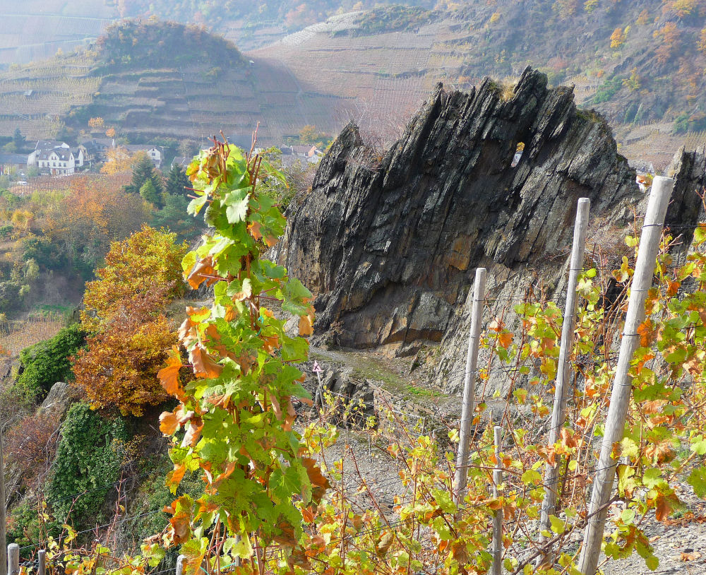 Markanter Felsen in den Weinbergen von Mayschoss