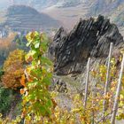 Markanter Felsen in den Weinbergen von Mayschoss