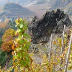 Markanter Felsen in den Weinbergen von Mayschoss