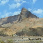 Markanter Gipfel bei Al Ayn