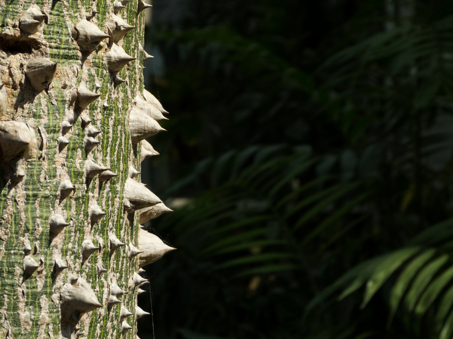 Markantes Äußeres - Palmengarten Ffm,