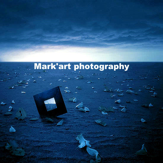 Mark'art photography