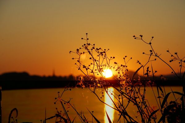 Markelfingen am Bodensee