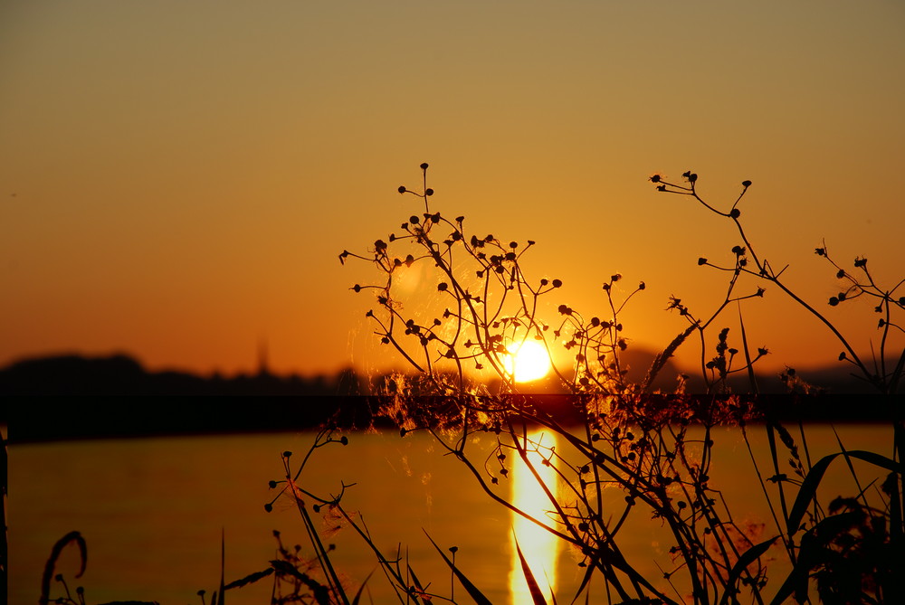 Markelfingen am Bodensee by Christine F. 