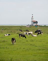 Marken - Lighthouse "Het Paard" (the Horse) - 01