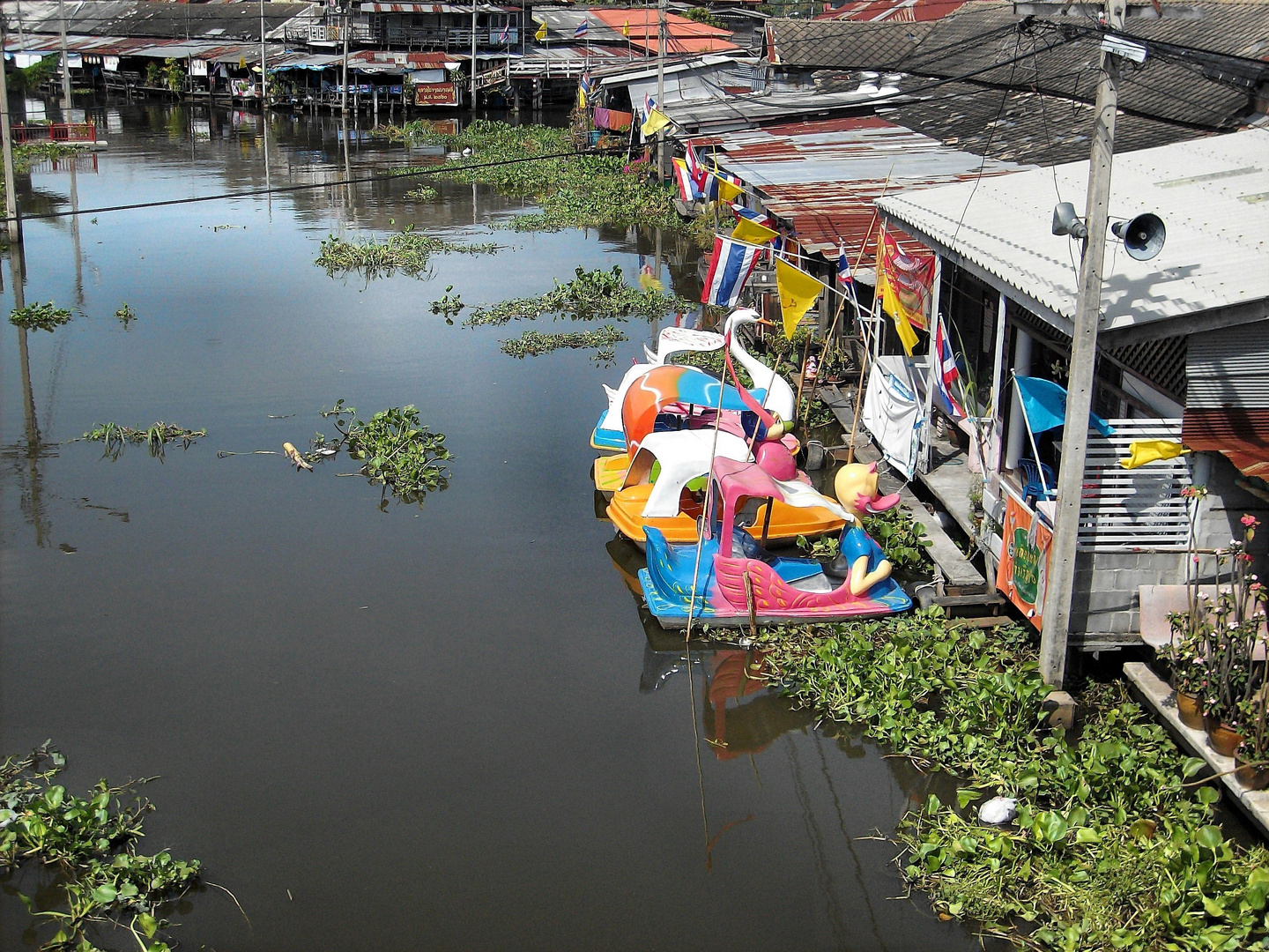 MARKET BANG PHLI -- Samut Prakan