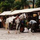 Market Day