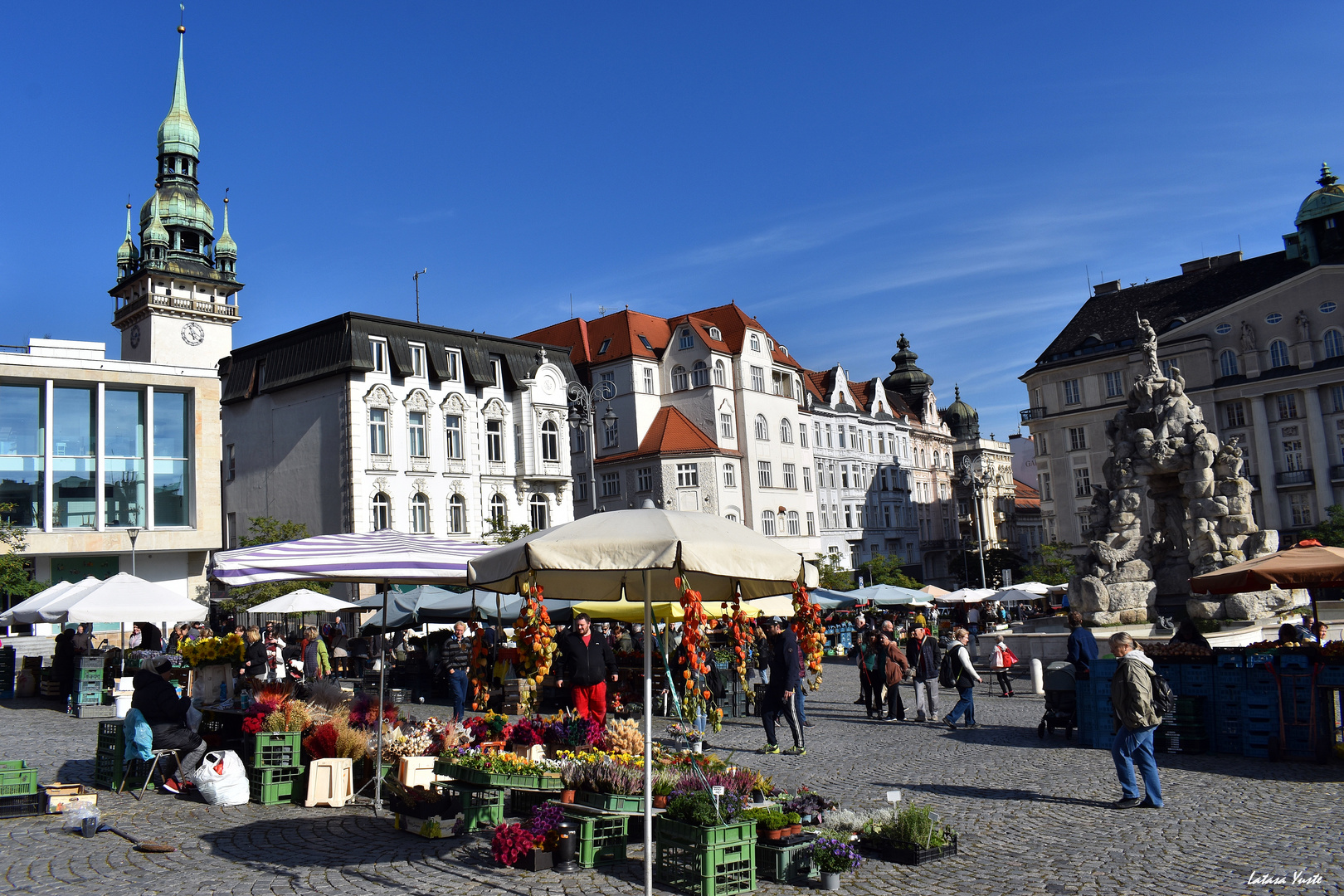 Market in Brno