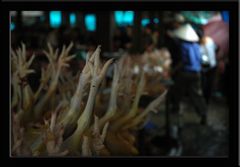 Market Sapa - Chicken Feet