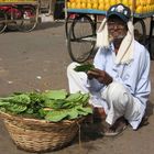 Marketlife Hyderabad