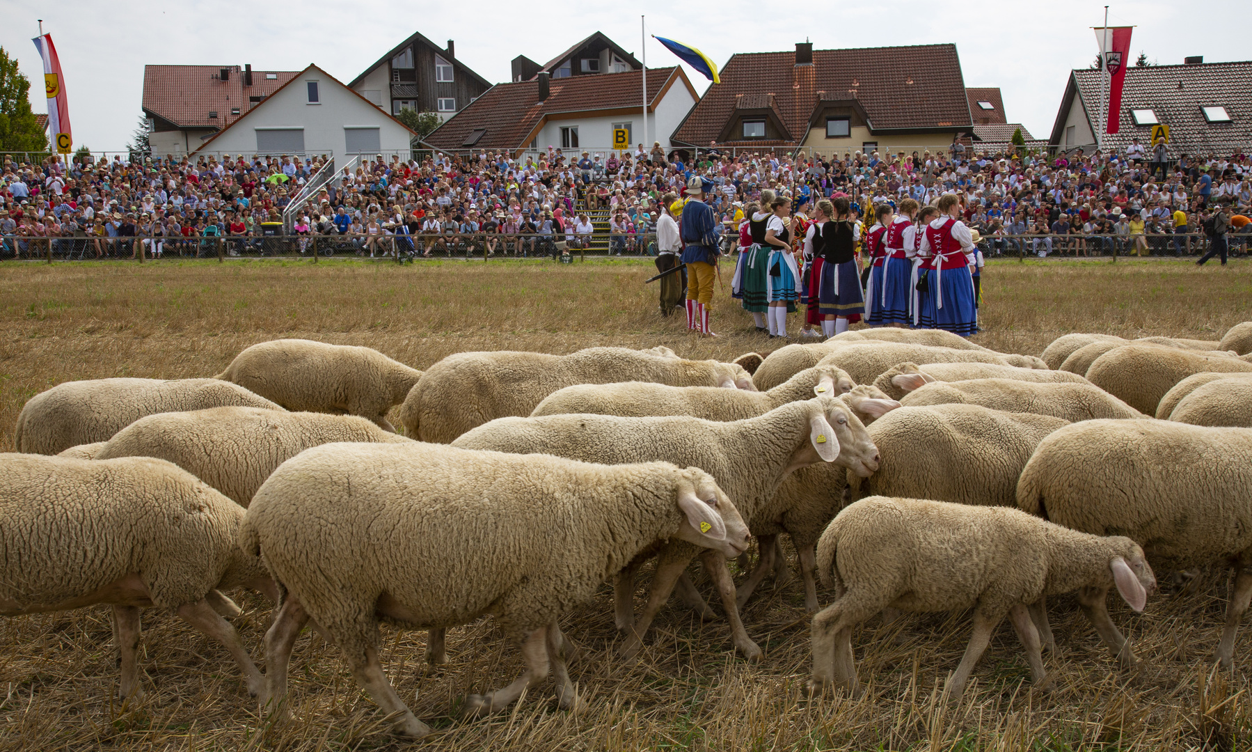 Markgröningen Schäferlauf