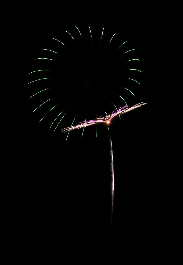 Markgröninger Schäferlauf 2012