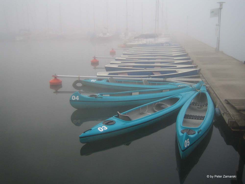 Markkleeberg Cospudener See Hafen im Nebel