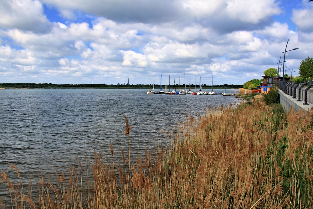 Markkleeberger See (3)