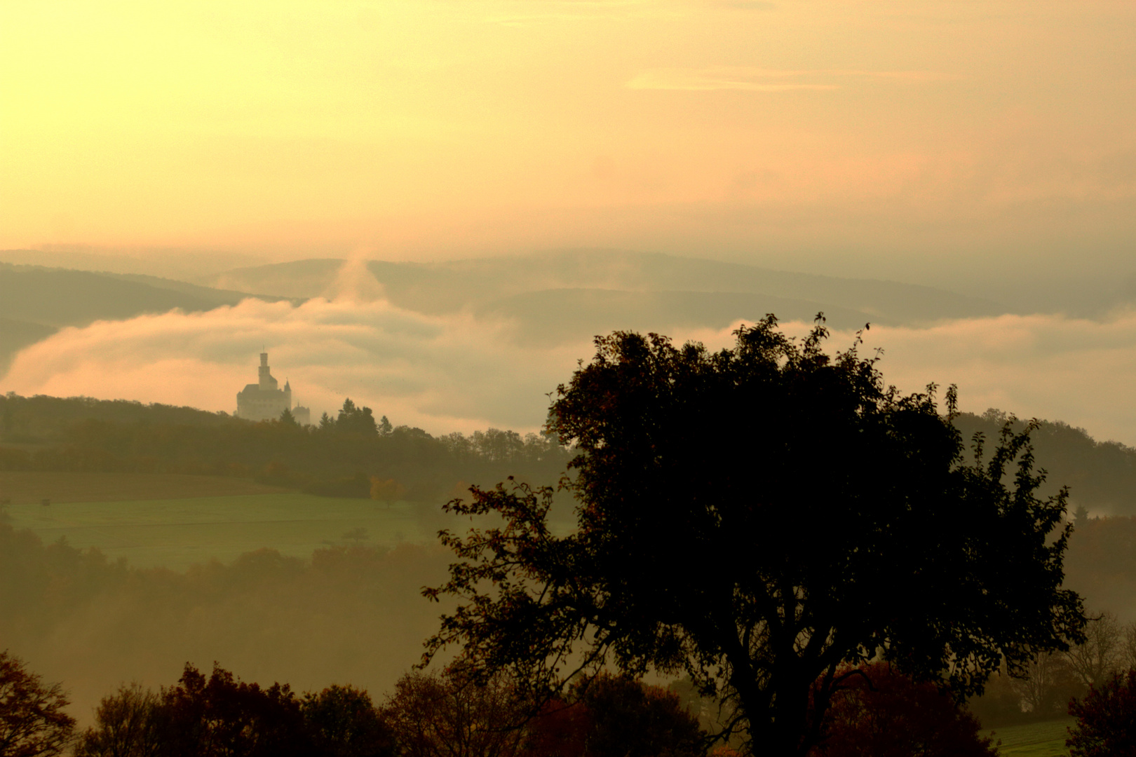 Marksburg im Nebel