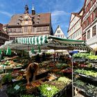 Markt (2)