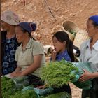 markt an der strassengabelung, laos 2010