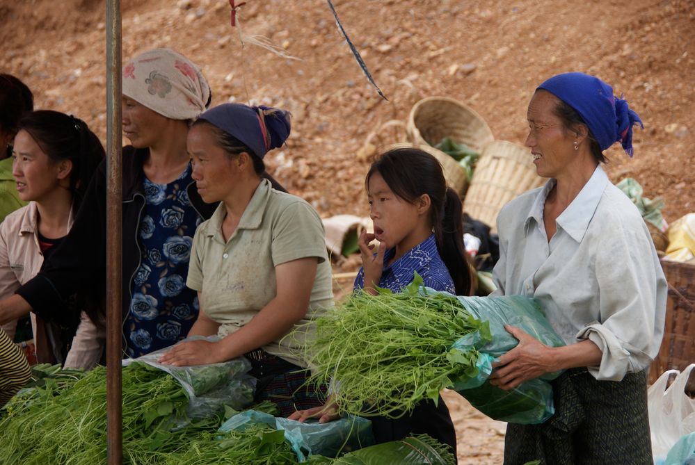 markt an der strassengabelung, laos 2010