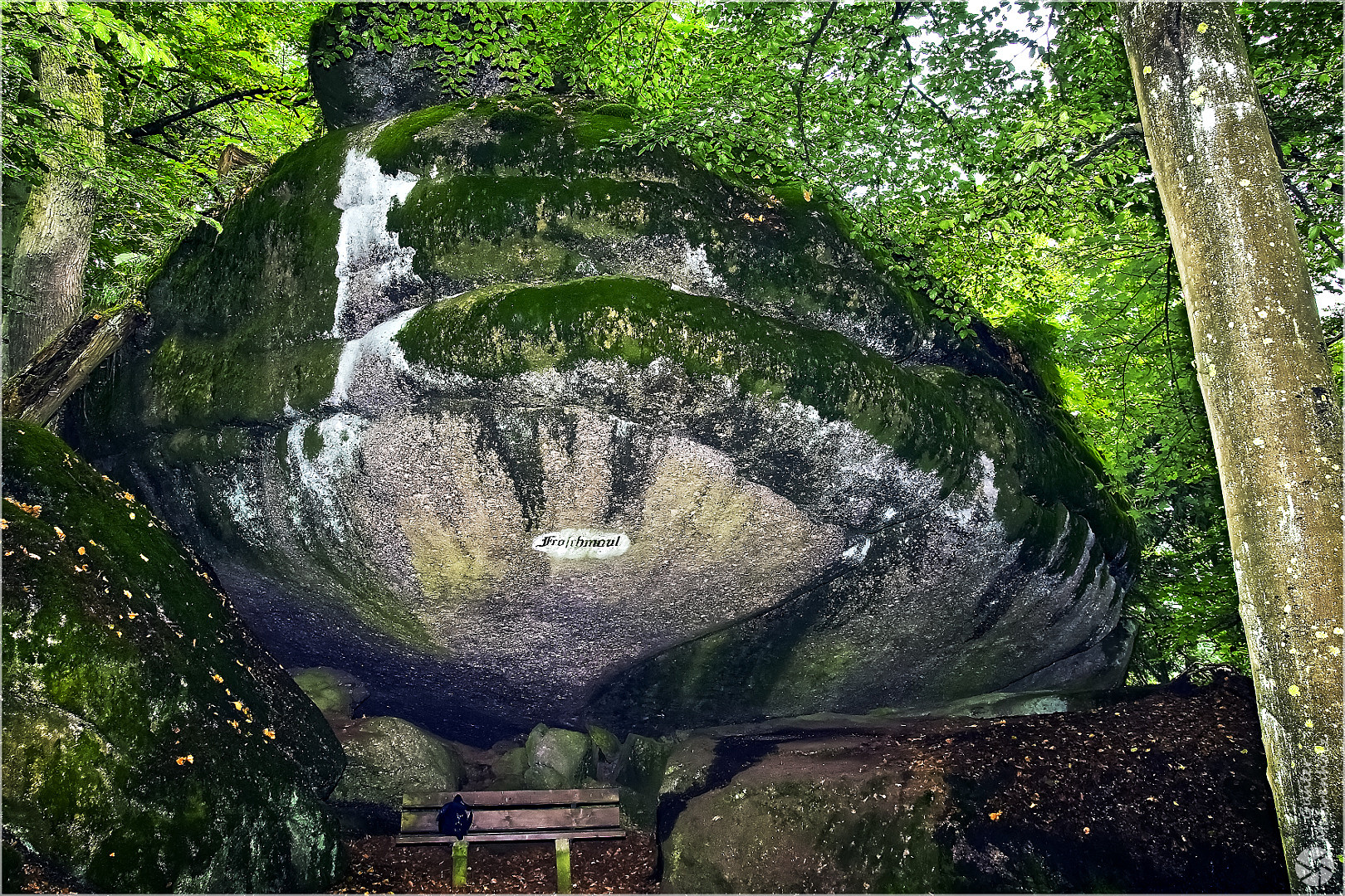 Markt Falkenstein, Das Froschmaul im Schlosspark