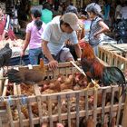 Markt im Toraja Land