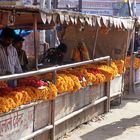 Markt in Agra II