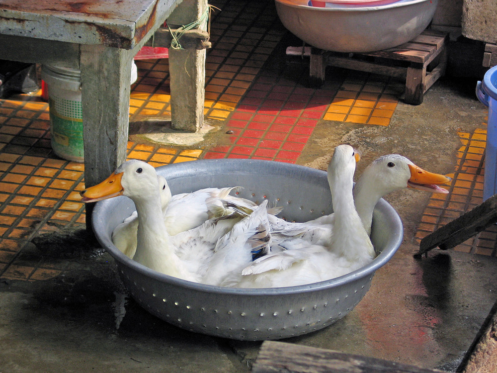 Markt in Hoi An