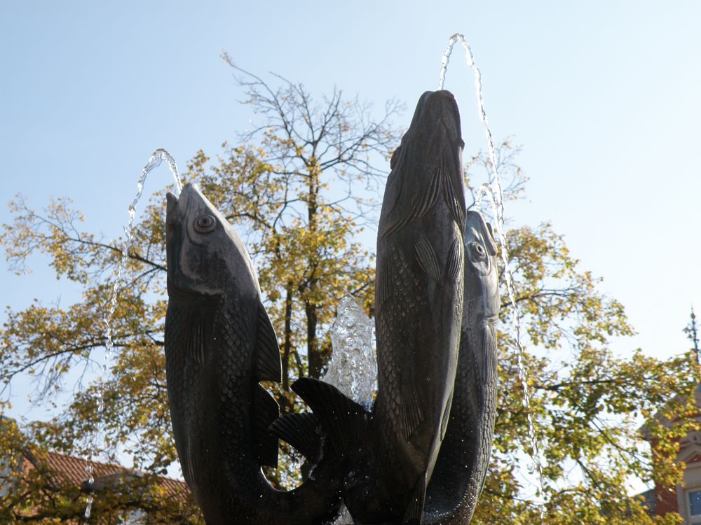 Marktbrunnen in Barth