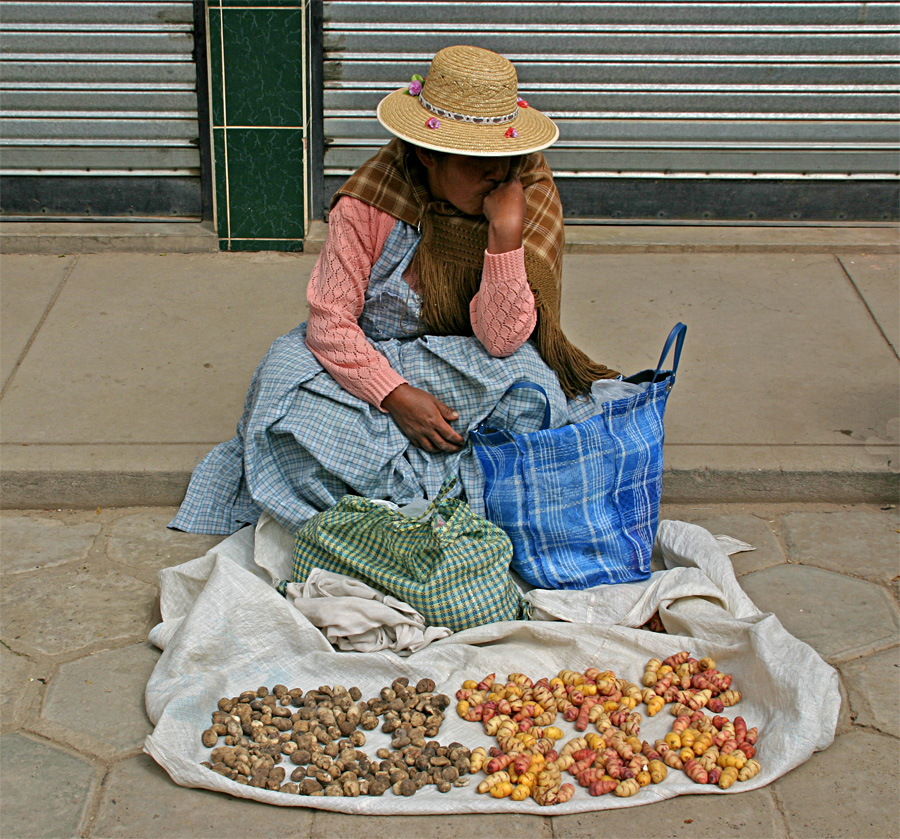 Marktfrau in Copacabana / Bolivien