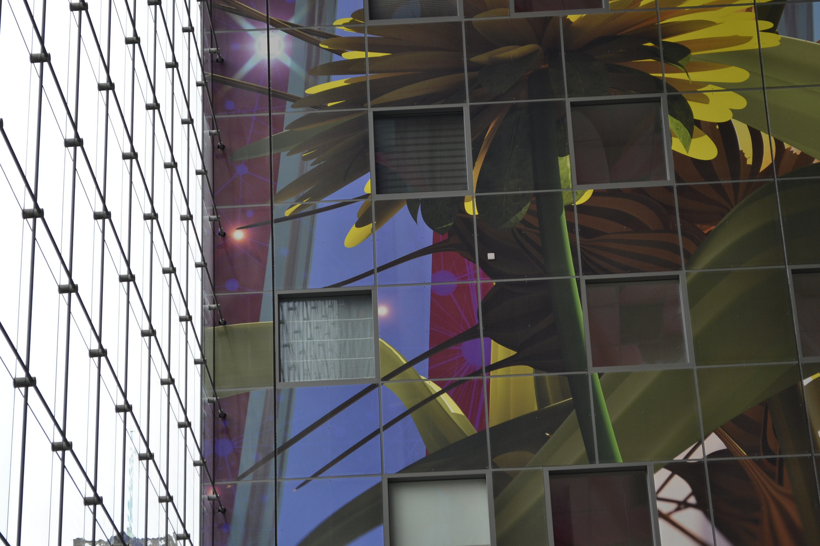 Markthal_III