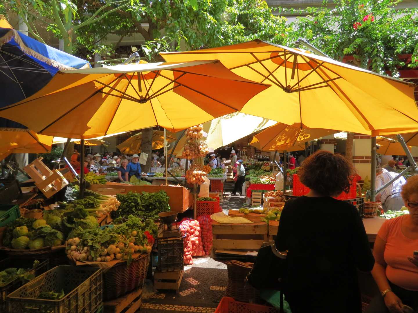 Markthalle Funchal, Madeira