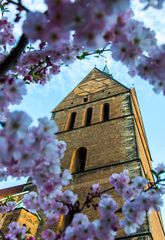 Marktkirche I - Hannover