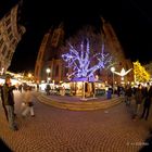 Marktkirche und Sternschnuppen - Weihnachtsmarkt in Wiesbaden