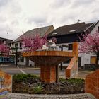 Marktplatz - Brunnen