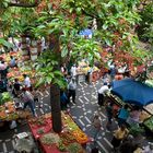 Marktplatz in Funchal auf Madeira