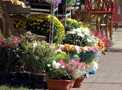 Marktplatz in Gnoien