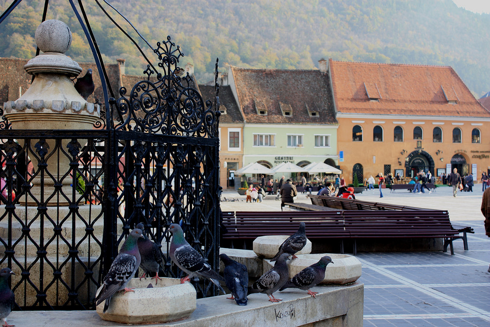 Marktplatz von Brasov (Kronstadt)