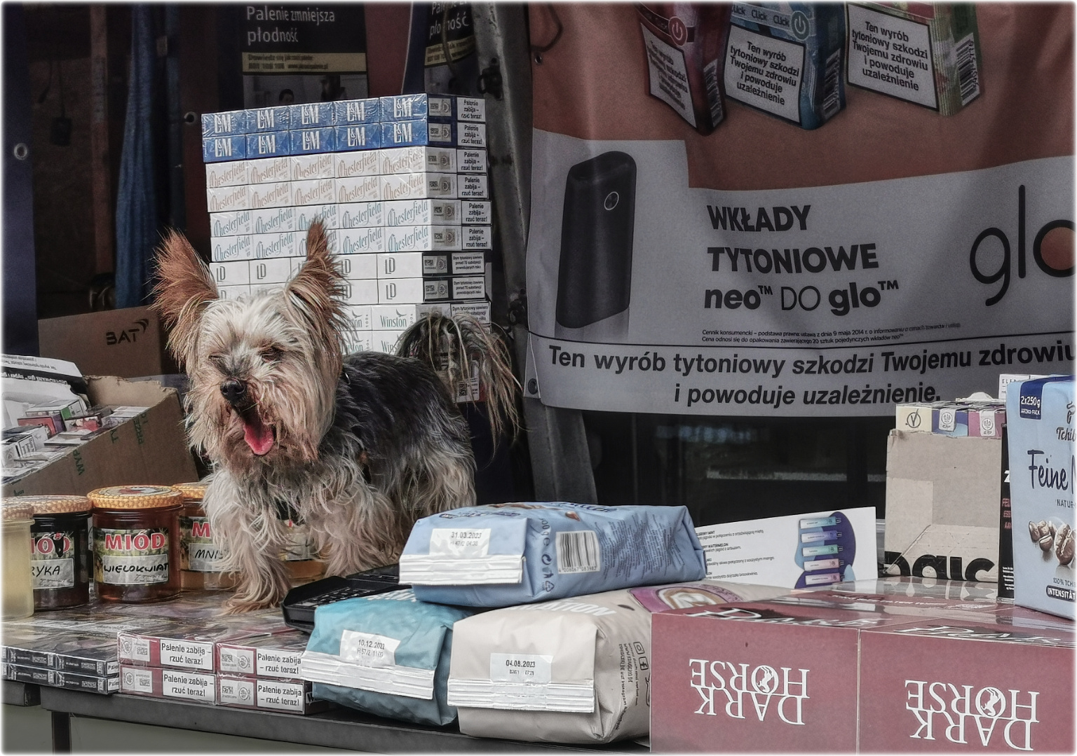 Marktschreier Foto & Bild stillleben, tiere, haustiere Bilder auf