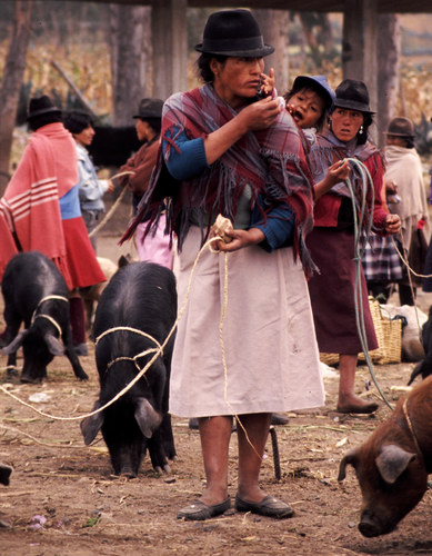 Marktszene in Ecuador